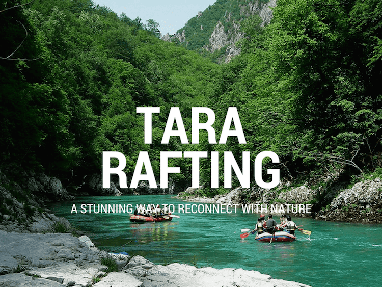 Coevrv Tara Min Min Min